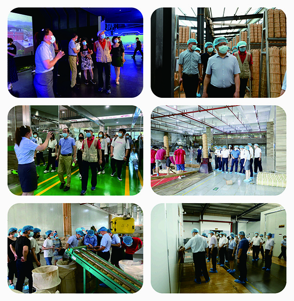 7.27上午參觀.jpg 7.27上午參觀.jpg