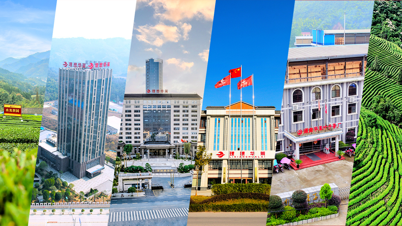 產(chǎn)業(yè)優(yōu)勢