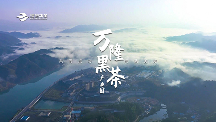 萬隆黑茶產(chǎn)業(yè)園