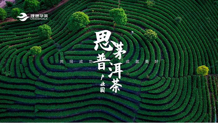 思茅普洱茶產(chǎn)業(yè)園