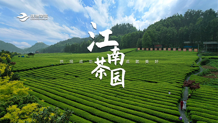 江南茶園