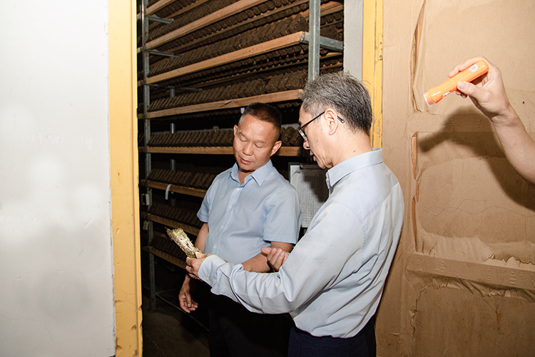 20250508430484.jpg _MG_0275.jpg