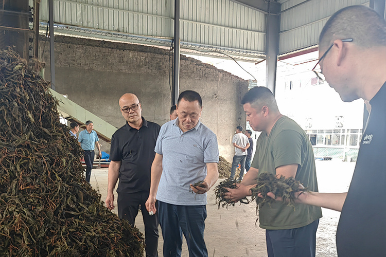 品控溯源 ?理想華萊生產(chǎn)管理團隊深入一線調(diào)研原料供應(yīng)鏈