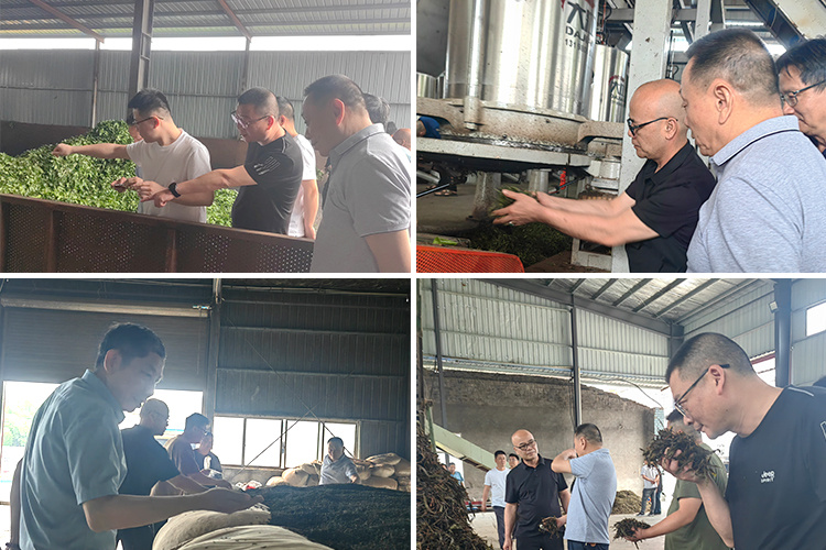 20250510855972.jpg neiye-.jpg