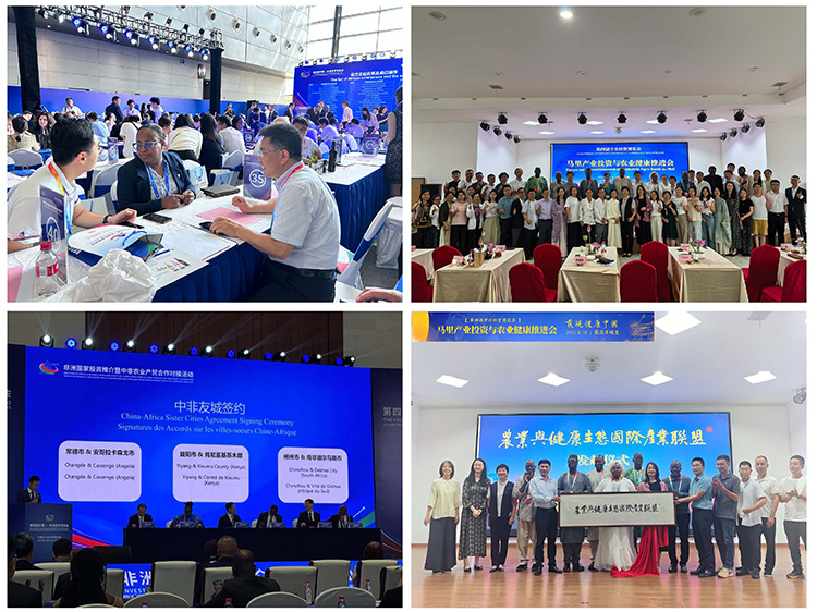 20250615888887.jpg 256.jpg