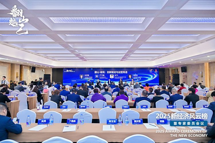 理想華萊受邀參加第二十一屆（2025）新經(jīng)濟(jì)風(fēng)云榜暨專家委員會(huì)議 三項(xiàng)榮譽(yù)彰顯集團(tuán)實(shí)力